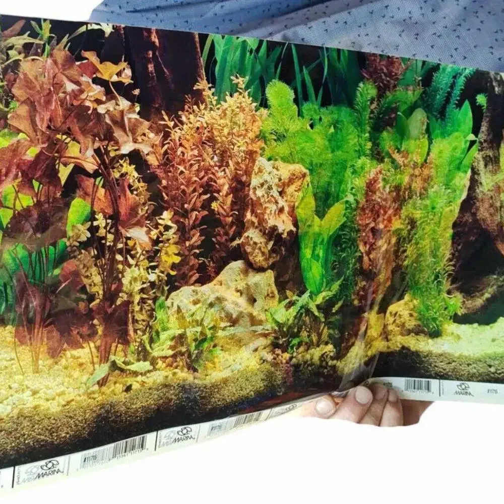 Aquarium/ Reptile Tank Backgrounds Choose your size- Double sided for added fun.